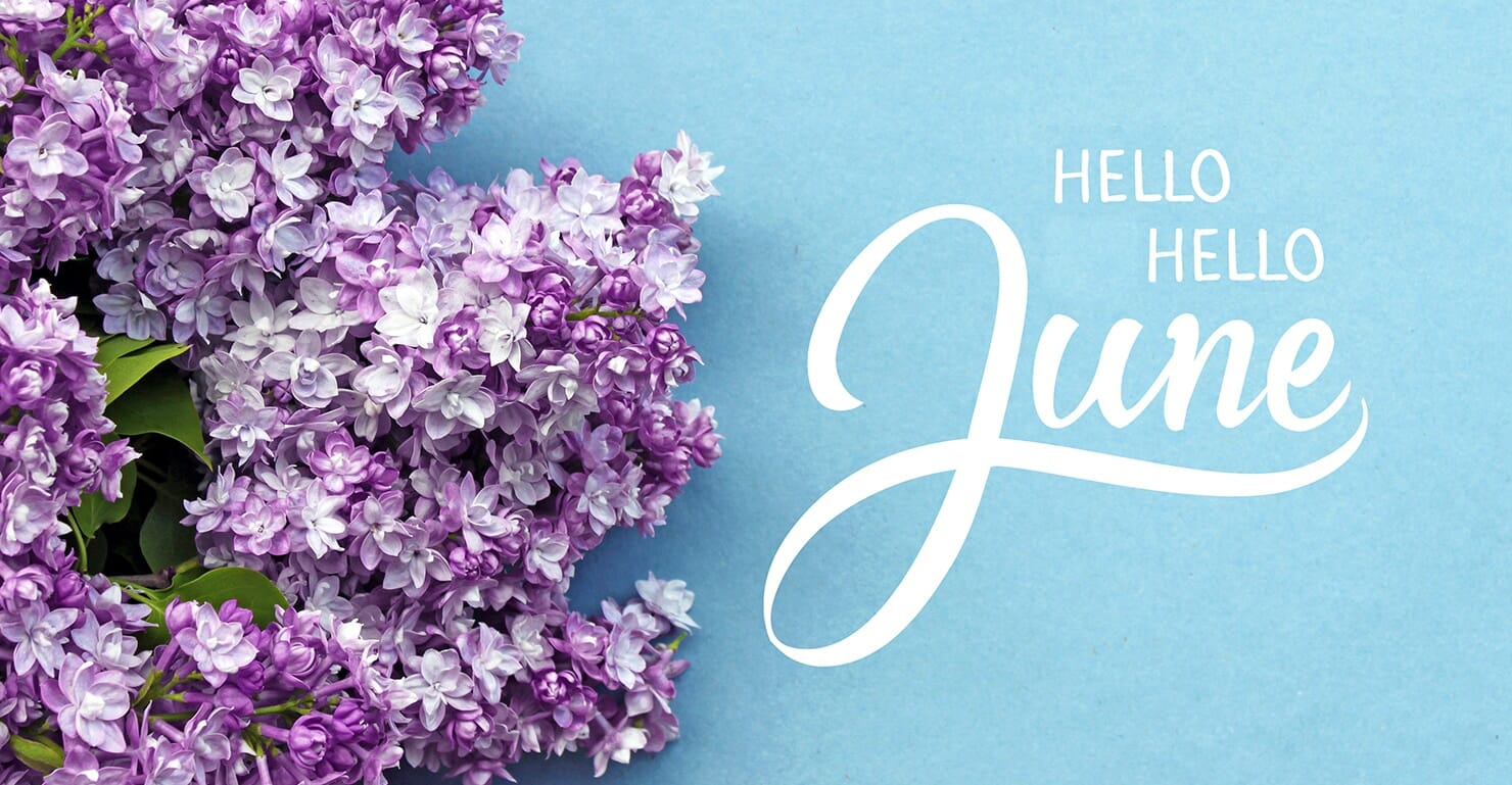 A graphic with purple lilac flowers on the left and the text "Expert Tips for Gardening" in white cursive on a blue background.
