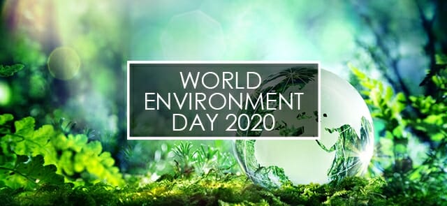 World Environment Day 2020!