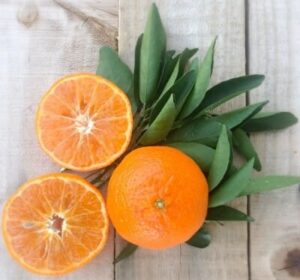 One whole and two halved Citrus Mandarin 'Murcott' oranges with fresh leaves on a wooden surface.