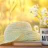 A mug with "August in the garden" printed on it, filled with daisies, next to a straw hat and a book, set against a sunlit, blurry natural background.