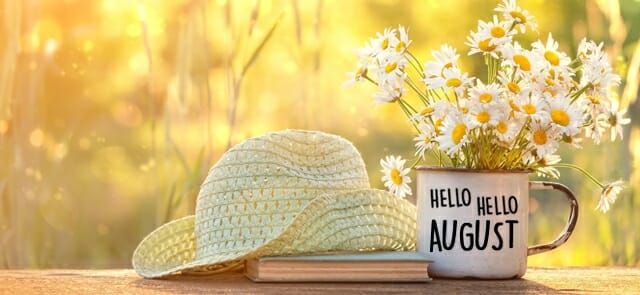 A mug with "August in the garden" printed on it, filled with daisies, next to a straw hat and a book, set against a sunlit, blurry natural background.