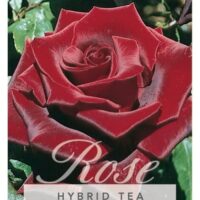 A glossy deep red Rose 'Black Magic' is depicted in close-up, labeled as a hybrid tea rose, surrounded by green leaves.