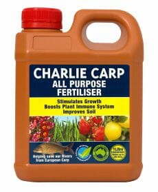 A bottle of Charlie Carp All Purpose Liquid Fertilizer Concentrate 1L. The label highlights benefits such as stimulating growth, boosting plant immune systems, and improving soil. This all-purpose concentrate comes with a red cap and a handle for easy use.