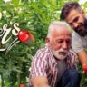 A grandfather, father, and young child are in a garden picking tomatoes. The text "Happy Father's Day" is written with a heart symbol, celebrating the joy of family bonds.