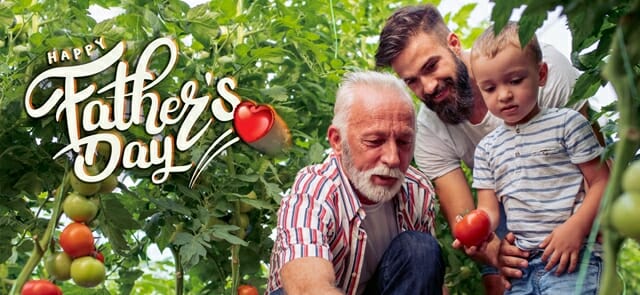 A grandfather, father, and young child are in a garden picking tomatoes. The text "Happy Father's Day" is written with a heart symbol, celebrating the joy of family bonds.