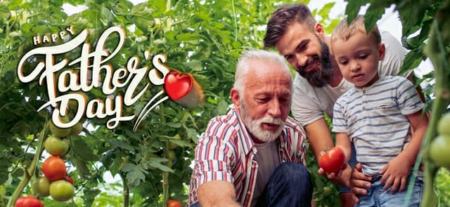 Feature image A grandfather, father, and young child are in a garden picking tomatoes. The text "Happy Father's Day" is written with a heart symbol, celebrating the joy of family bonds.