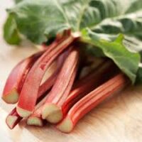A close-up of Rhubarb 'Glaskins Perpetual' 6" Pot stalks with green leaves, displayed on a wooden surface.