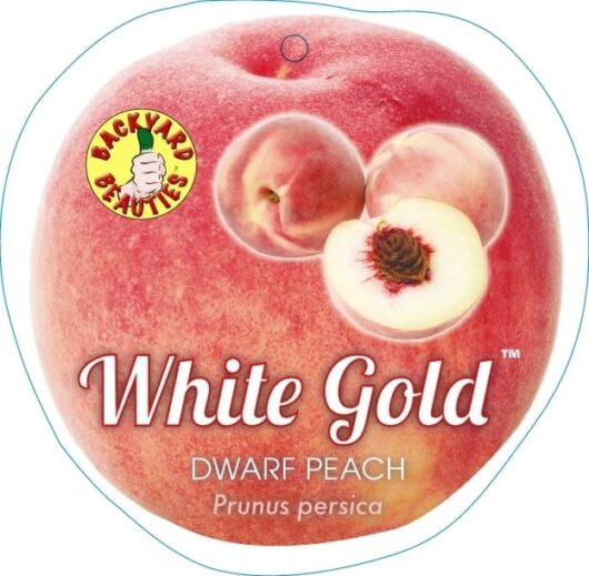 Label showing the "Prunus 'White Gold™' Peach Dwarf 10" Pot" in a Dwarf 10" Pot from the brand "Backyard Beauties," with images of a whole peach and cross-sections.