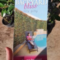 A hand holds a "Syzygium 'Backyard Bliss' Lilly Pilly 8" Pot (Standard)" plant tag featuring a photo of a woman reading by a pool, with the text "Psyllid Resistant" and "The Ultimate Screen" displayed at the bottom.