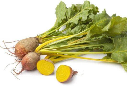 The Beetroot 'Golden' 4" Pot, featuring four golden beets with vibrant green leaves and one cut open to showcase its yellow interior, is elegantly presented against a pristine white background.