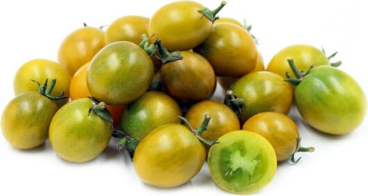 A lively display of green and yellow tomatoes sits enticingly, with one Tomato 'Green Grape' 4" Pot variety cut open to reveal its juicy interior.