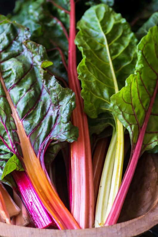 Capture the stunning colors of Silverbeet 'Rainbow Chard' with its lush green leaves and striking stalks in pink, red, and yellow hues. Ideal for planting in your garden or placing on a windowsill, this vibrant plant comes conveniently potted in a 4" pot.