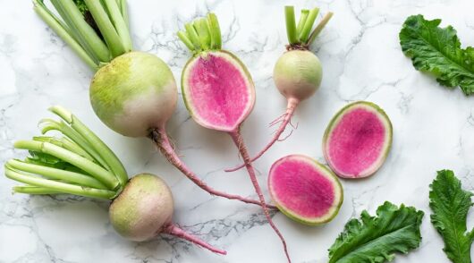 Radish 'Watermelon' 4" Pot plants, with their striking tops, are artfully displayed on a marble surface.
