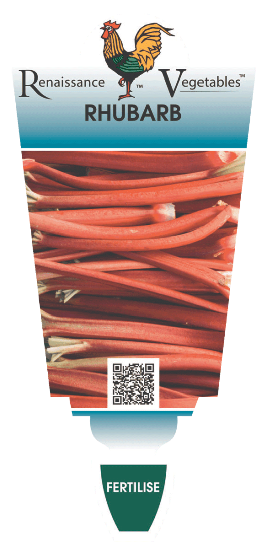 Rhubarb 'Sydney Crimson'