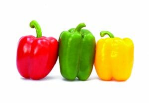 The Capsicum 'Traffic Lights' in a 4" pot features three vibrant capsicums—red, green, and yellow—arranged side by side on a white background.