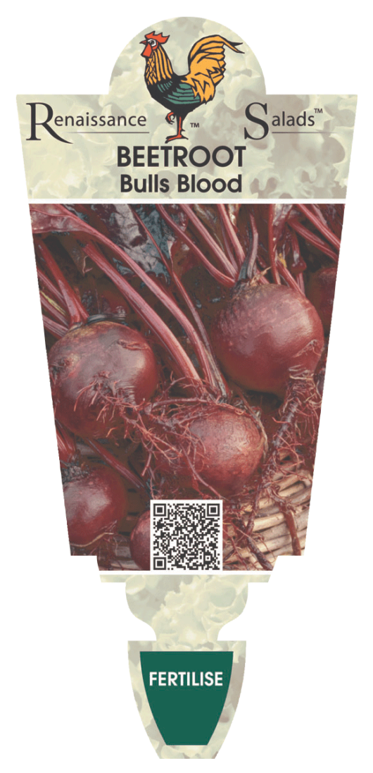 Image of a seed packet labeled "Beetroot 'Bull's Blood' 4" Pot," showcasing vibrant beetroots with a QR code and a "Fertilise" tag, perfect for small gardens.