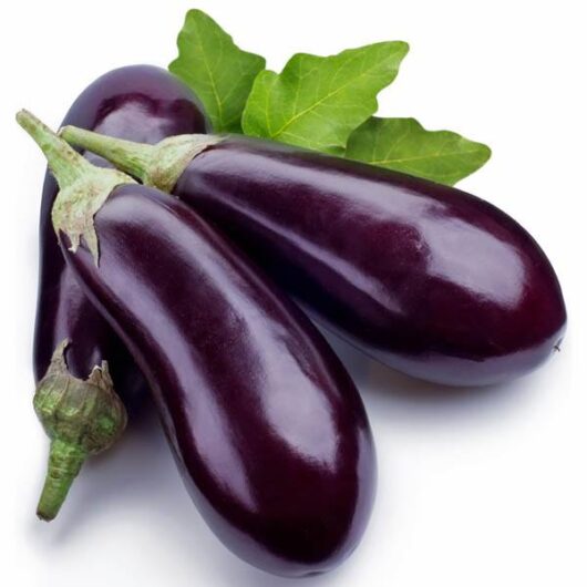Eggplant 'Supreme' 4" Pot
