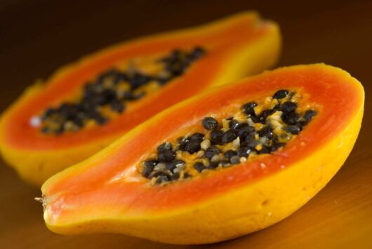 Paw Paw 'Fijian' (Papaya) 4" Pot