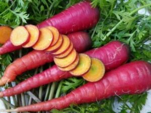 Cosmic Purple carrots from a 4" pot, featuring leafy tops and an orange interior, are arranged on a surface with one sliced to reveal its inside.