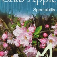 Malus spectabilis 'Chinese Flowering Crab Apple'