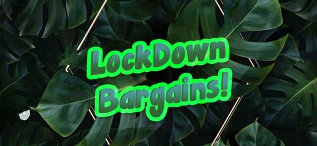 Lockdown Bargains!