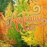 Top 10 Autumn Trees