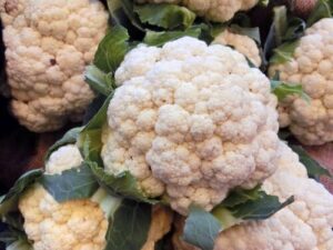 A collection of Cauliflower 'Paleface' 4" Pots, featuring vibrant green leaves.