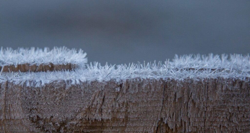 Hello Hello Plants Melbourne Victoria Australia Close up of Frost forming on a fence in Trentham by #arteliz
