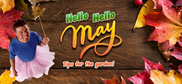 Hello Hello plants May gardening melbourne Victoria Australia