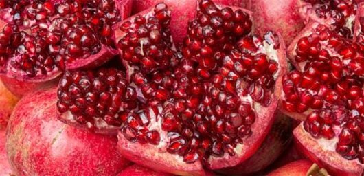 Punica 'Azerbaijani' Pomegranate