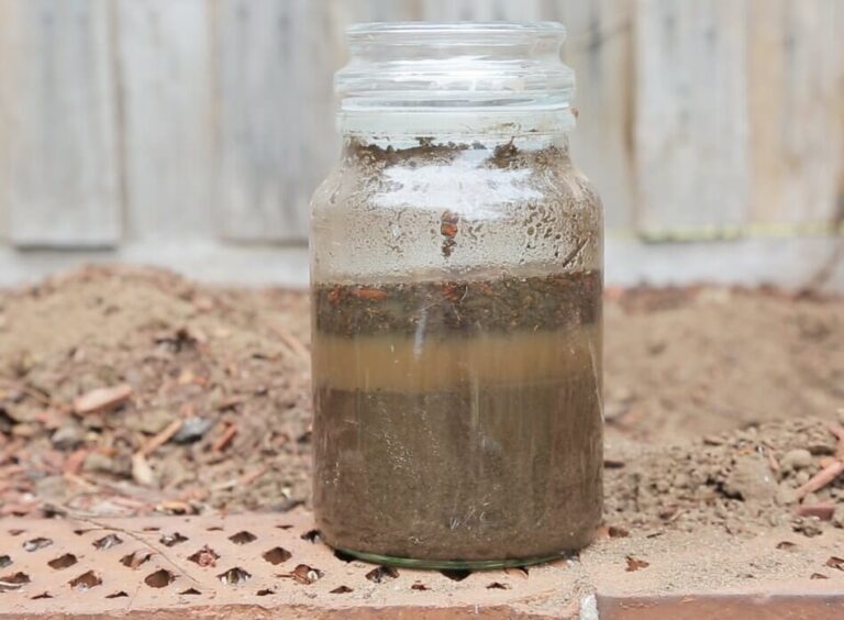 What's my soil type? Hello Hello Plants & Garden Supplies