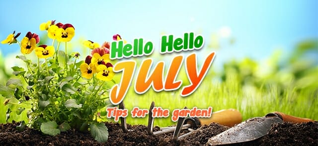 July in the Garden 2022!