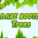 Bare root trees plants melbourne australia