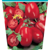 Tomato 'San Marzano' 4" Pot