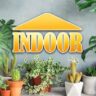 Top 10 Indoor air purifying toxin removing plants