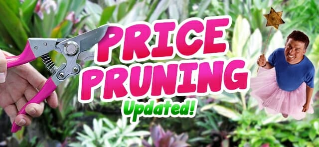 Price Pruning Continues