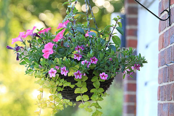 Outdoor Hanging Basket