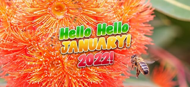 Hello Hello 2022! January in the Garden!