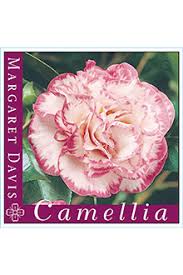 Camellia japonica 'Margaret Davis' 8" Pot