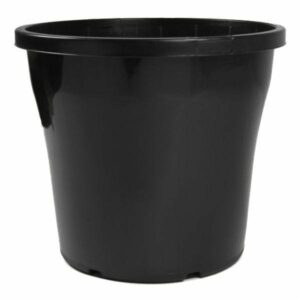 Hello Hello Plants Melbourne Australia Black Plastic 8L Euro 25cm