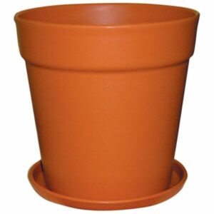 Hello Hello Plants Melbourne Australia Cottage Pot Deep 13.5L Terracotta 30cm