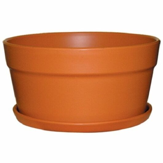 Hello Hello Plants Melbourne Australia Cottage Pot Squat 8L Terracotta 30cm