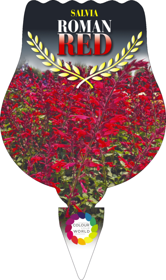 Salvia Roman Red Sage Label
