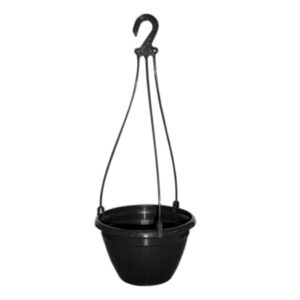 Hello Hello Plants Melbourne Australia Waterwise Hanging Basket 20cm