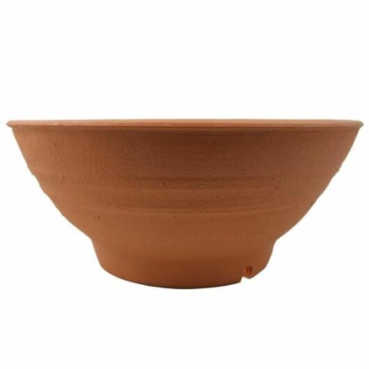 Hello Hello Plants Melbourne Australia Terracotta Bowl Plastic 21cm/39cm