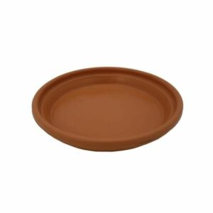 Hello Hello Plants Melbourne Australia Terracotta Bowl Plastic Saucer 21cm/39cm