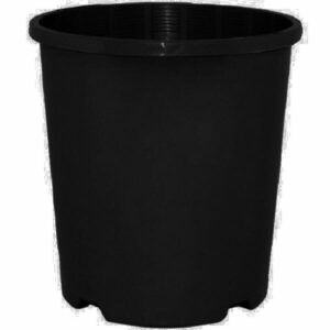 Hello Hello Plants Melbourne Australia Black Plastic 1.5L 14cm pot