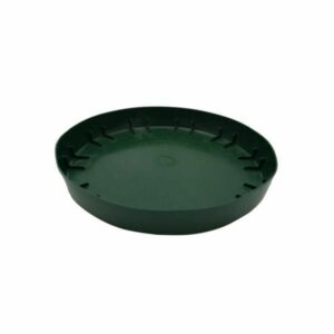 Hello Hello Plants Melbourne Australia Jade Green Plastic Saucer 15cm/17.5cm