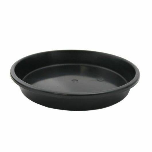 Hello Hello Plants Melbourne Australia Black Plastic Saucer 20cm/25cm/30cm