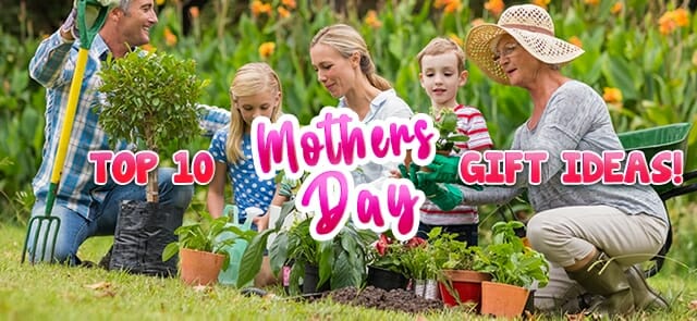 Top 10 Plants for Mother’s Day!